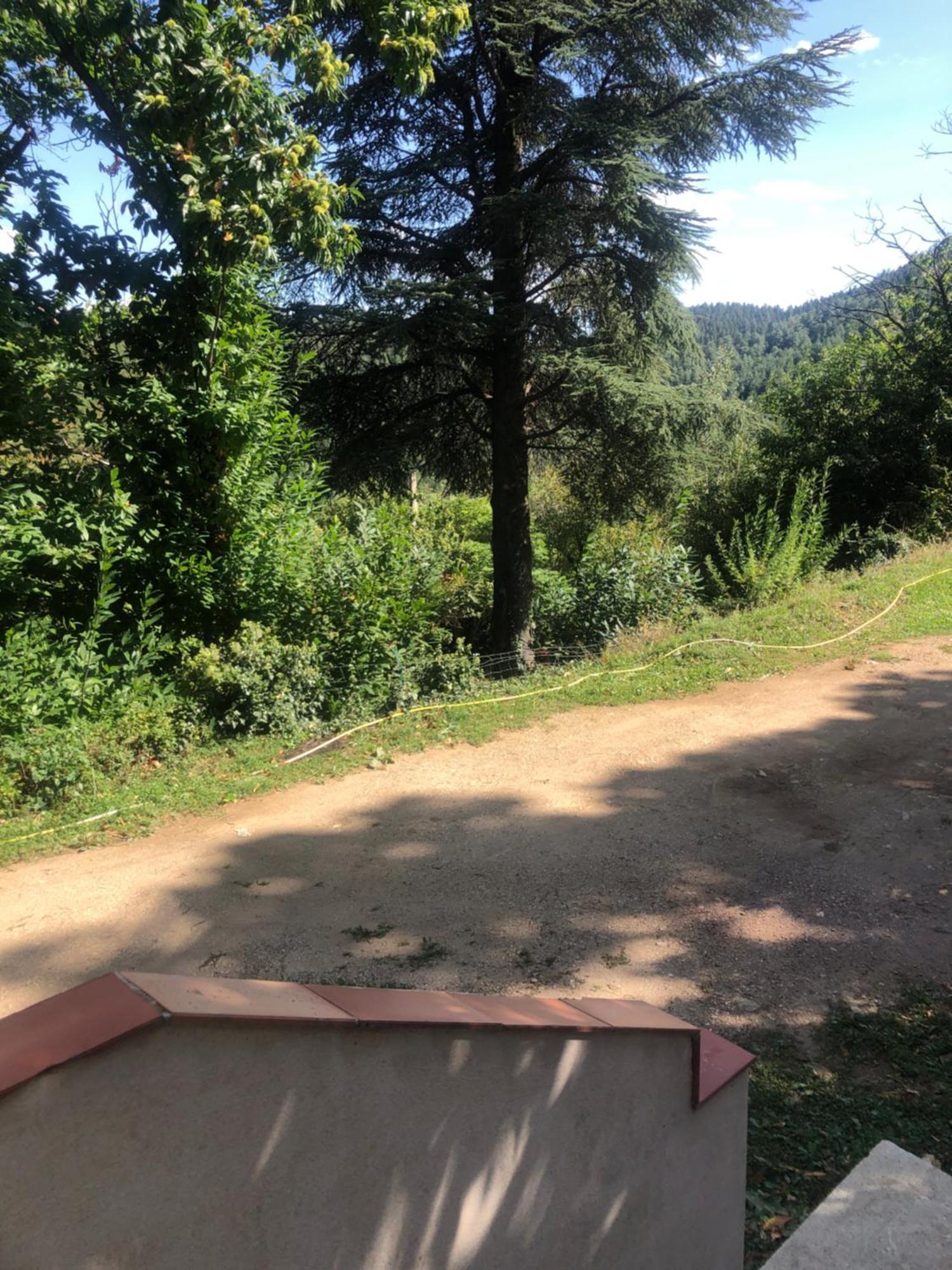 Chambre Dans Les Cevennes Concoules Екстериор снимка